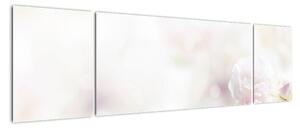 Obraz delikatnych kwiatów (170x50 cm)