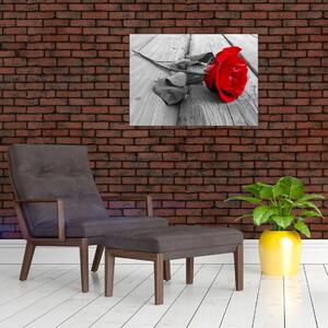 Obraz czerwonej róży (70x50 cm)