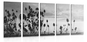 5-częściowy obraz źdźbła trawy na polu w wersji czarno-białej