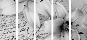 5-częściowy obraz lilia na starym dokumencie w wersji czarno-białej