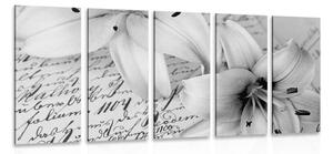 5-częściowy obraz lilia na starym dokumencie w wersji czarno-białej
