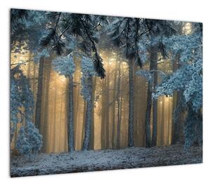 Obraz zaśnieżonego lasu (70x50 cm)