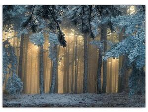 Obraz zaśnieżonego lasu (70x50 cm)