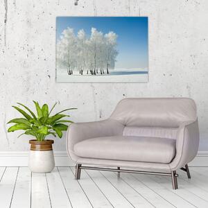 Obraz zaśnieżonego krajobrazu (70x50 cm)