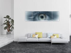Obraz - Widok oka (170x50 cm)