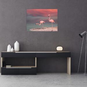 Obraz flamingów (70x50 cm)