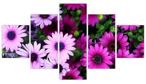 Obraz - Kwiaty (125x70 cm)