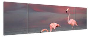 Obraz flamingów (170x50 cm)