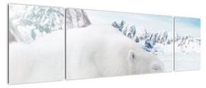 Obraz - Niedźwiedź polarny (170x50 cm)