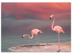 Obraz flamingów (70x50 cm)