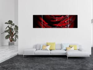 Obraz - Detal róży (170x50 cm)