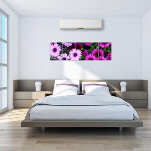 Obraz - Kwiaty (170x50 cm)