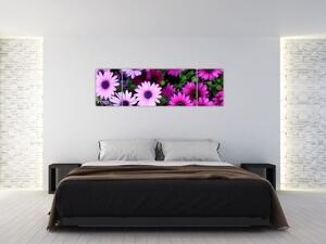 Obraz - Kwiaty (170x50 cm)