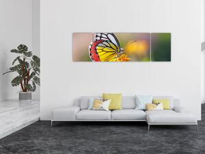 Obraz motyla na kwiatku (170x50 cm)