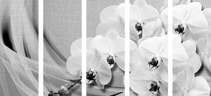 5-częściowy obraz orchidea na płótnie w wersji czarno-białej