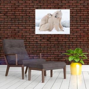 Obraz - Niedźwiedzie polarne (70x50 cm)