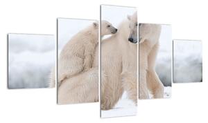 Obraz - Niedźwiedzie polarne (125x70 cm)
