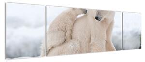 Obraz - Niedźwiedzie polarne (170x50 cm)