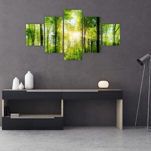 Obraz - Świt w lesie (125x70 cm)