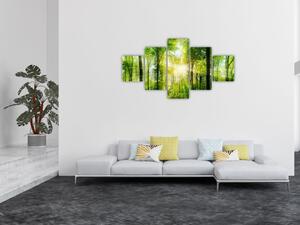 Obraz - Świt w lesie (125x70 cm)