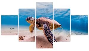 Obraz żółwia w oceanie (125x70 cm)