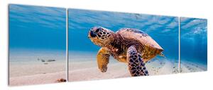 Obraz żółwia w oceanie (170x50 cm)