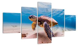 Obraz żółwia w oceanie (125x70 cm)
