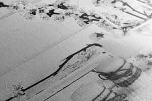Obraz rustykalna martwa natura w wersji czarno-białej