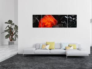 Obraz - świecący minerał (170x50 cm)