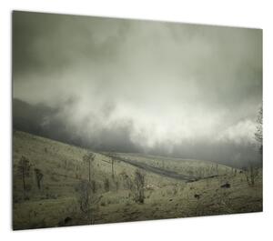 Obraz krajobrazu przed burzą (70x50 cm)