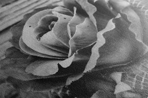 Obraz elegancka vintage róża w wersji czarno-białej