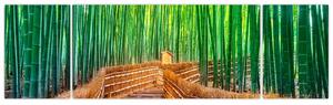 Obraz - Japoński las bambusowy (170x50 cm)