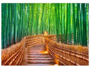 Obraz - Japoński las bambusowy (70x50 cm)