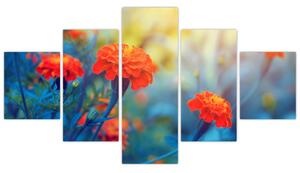 Obraz - Pomarańczowe kwiaty (125x70 cm)