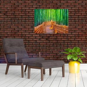 Obraz - Japoński las bambusowy (70x50 cm)