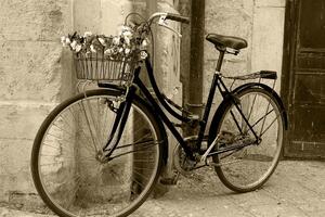 Obraz rustykalny rower w wersji sepia