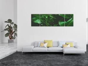 Obraz - Liście palmowe (170x50 cm)