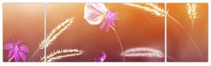 Obraz - Różowy motyl (170x50 cm)
