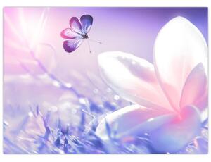 Obraz - Motyl lecący do kwiatu (70x50 cm)