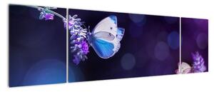Obraz - Motyle na lawendie (170x50 cm)