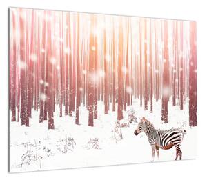 Obraz - Zebra w śnieżnym lesie (70x50 cm)