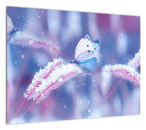 Obraz - Motyle zimą (70x50 cm)