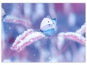 Obraz - Motyle zimą (70x50 cm)