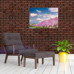 Obraz - Japoński wiosenny krajobraz (70x50 cm)