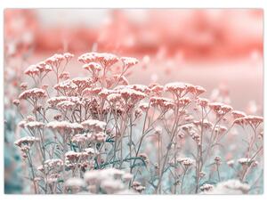 Obraz - Kwiaty polne (70x50 cm)