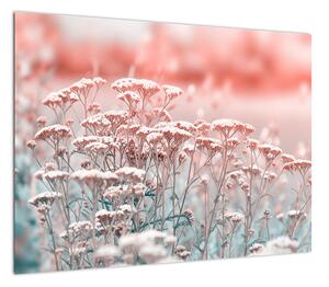 Obraz - Kwiaty polne (70x50 cm)