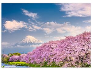 Obraz - Japoński wiosenny krajobraz (70x50 cm)