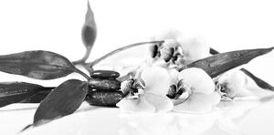 Obraz martwa natura z kamieniami Zen w wersji czarno-białej