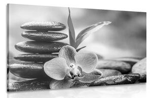 Obraz kompozycja medytacyjna Zen w wersji czarno-białej