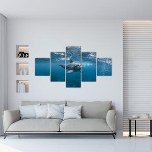 Obraz - Delfin pod wodą (125x70 cm)